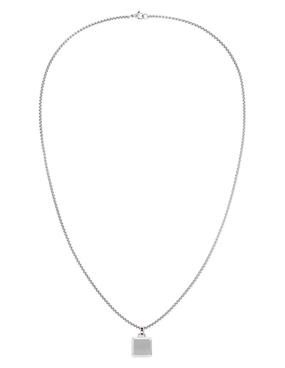 Collar Hilfiger 2