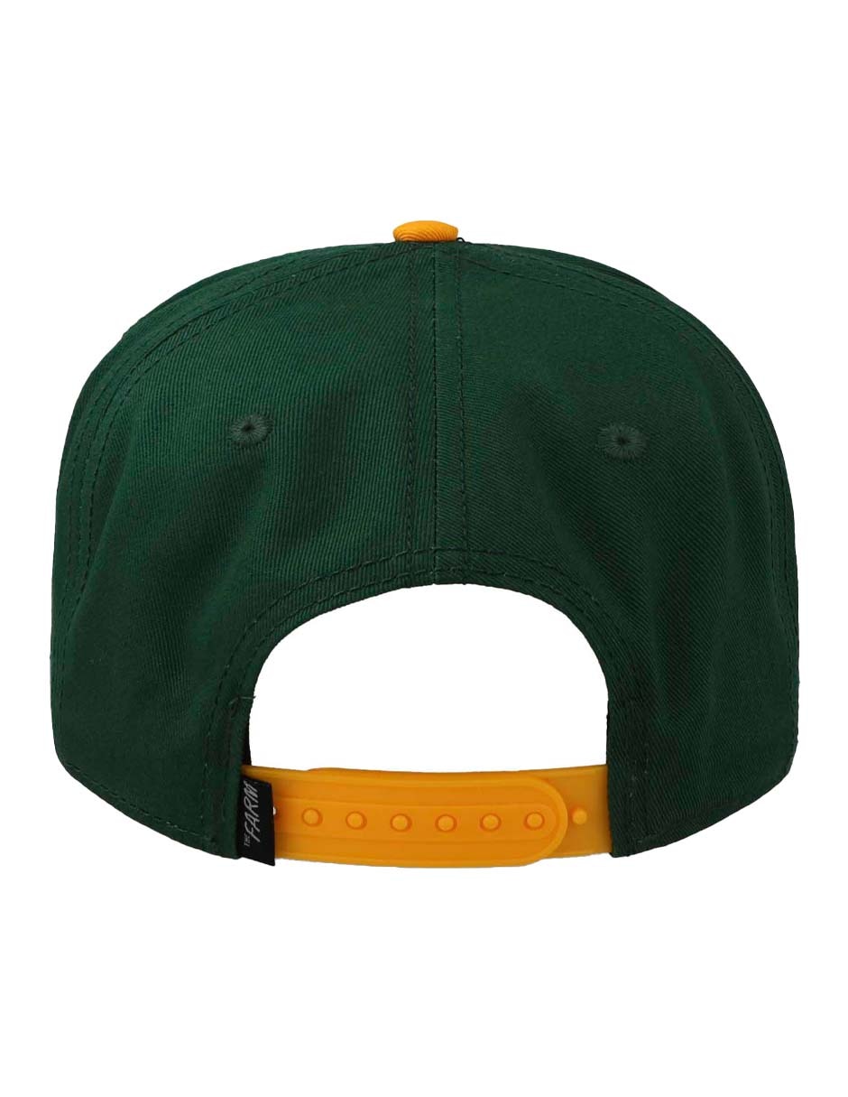 Gorra visera curva snapback casual para adulto 2