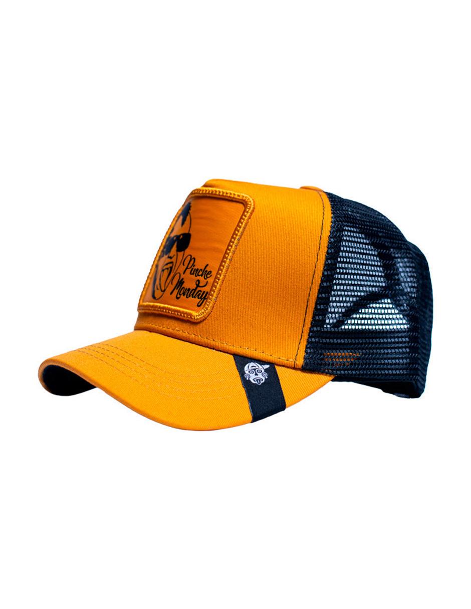 Gorra visera curva snapback casual Frase para adulto 4