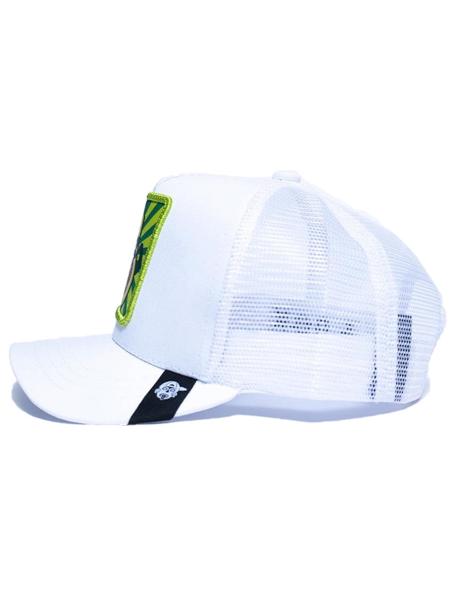 Gorra visera curva snapback casual Iconos Aguacate para adulto 2