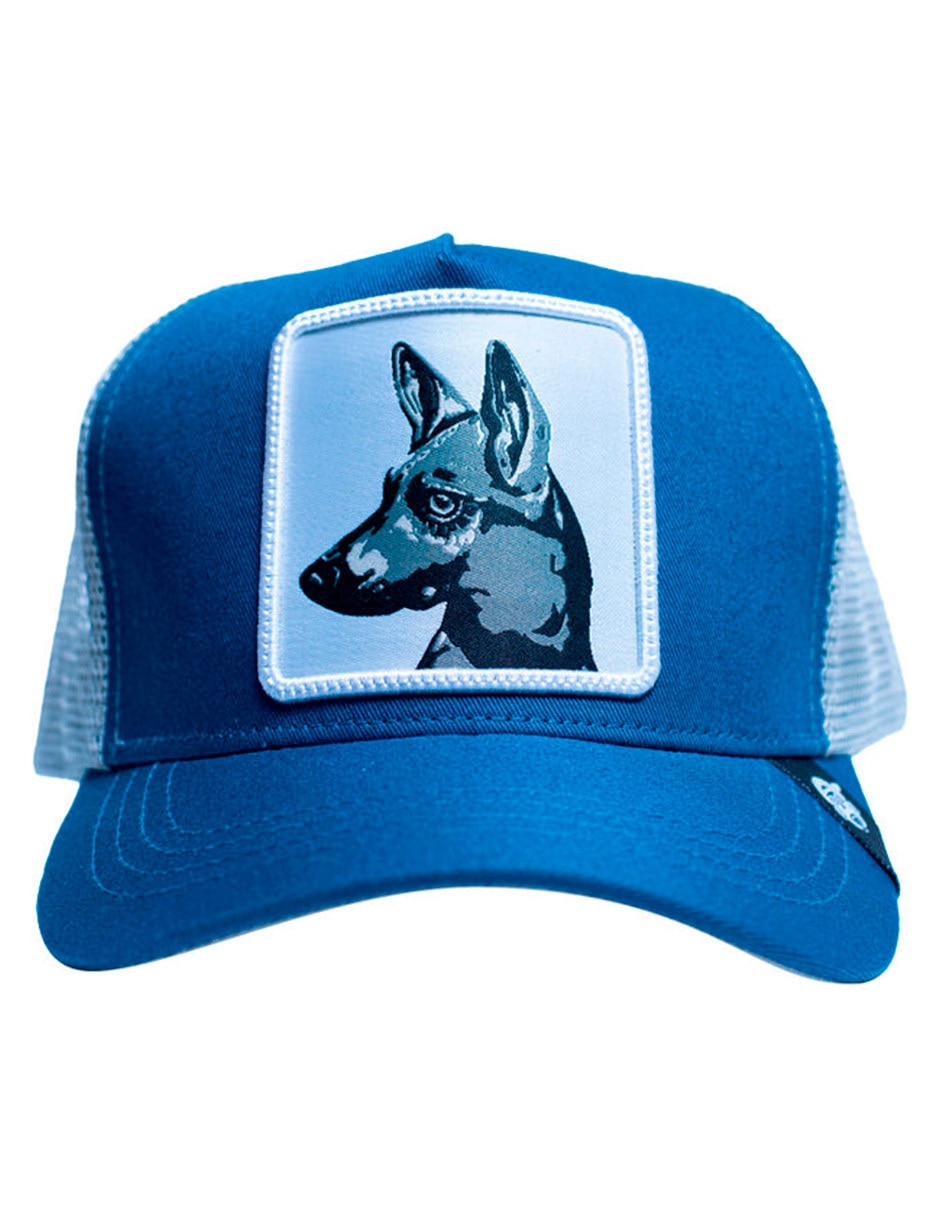 Gorra con visera curva casual Iconos Xolos para adulto