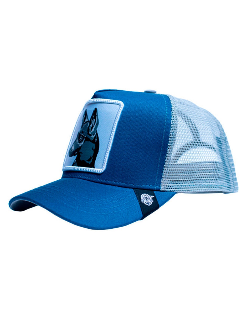 Gorra con visera curva casual Iconos Xolos para adulto