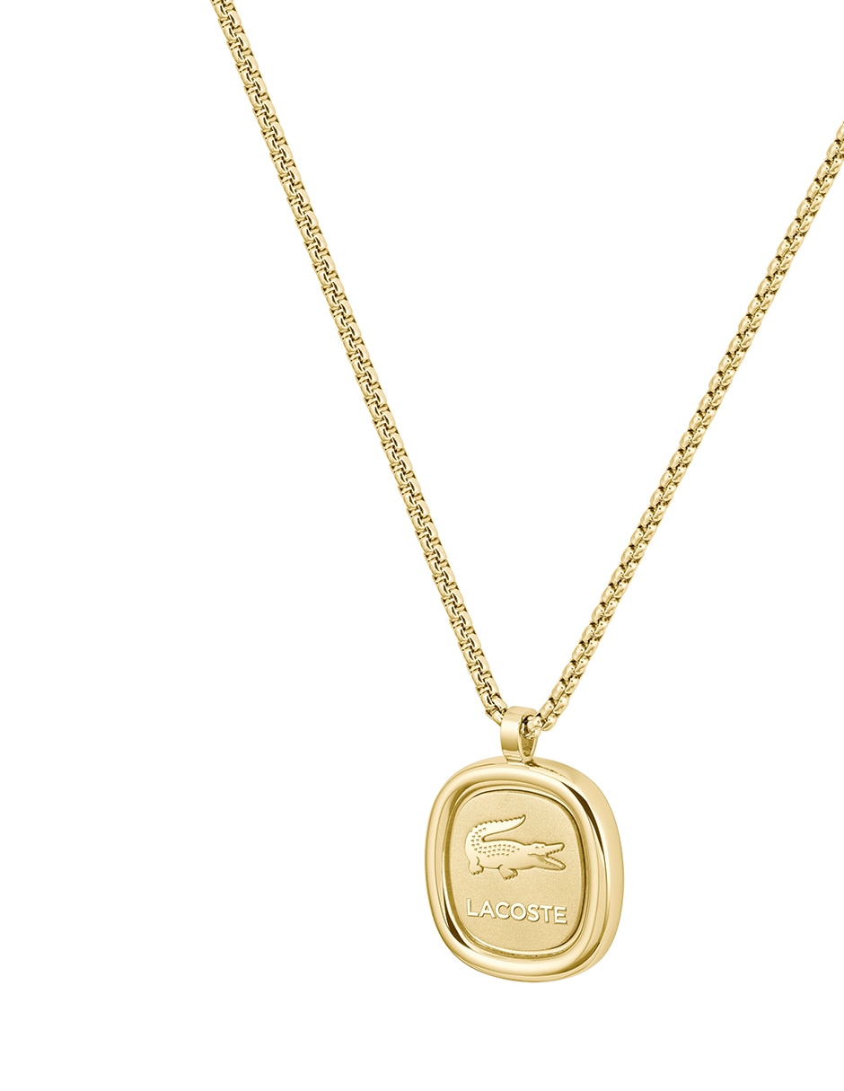 Collar Vigor 3