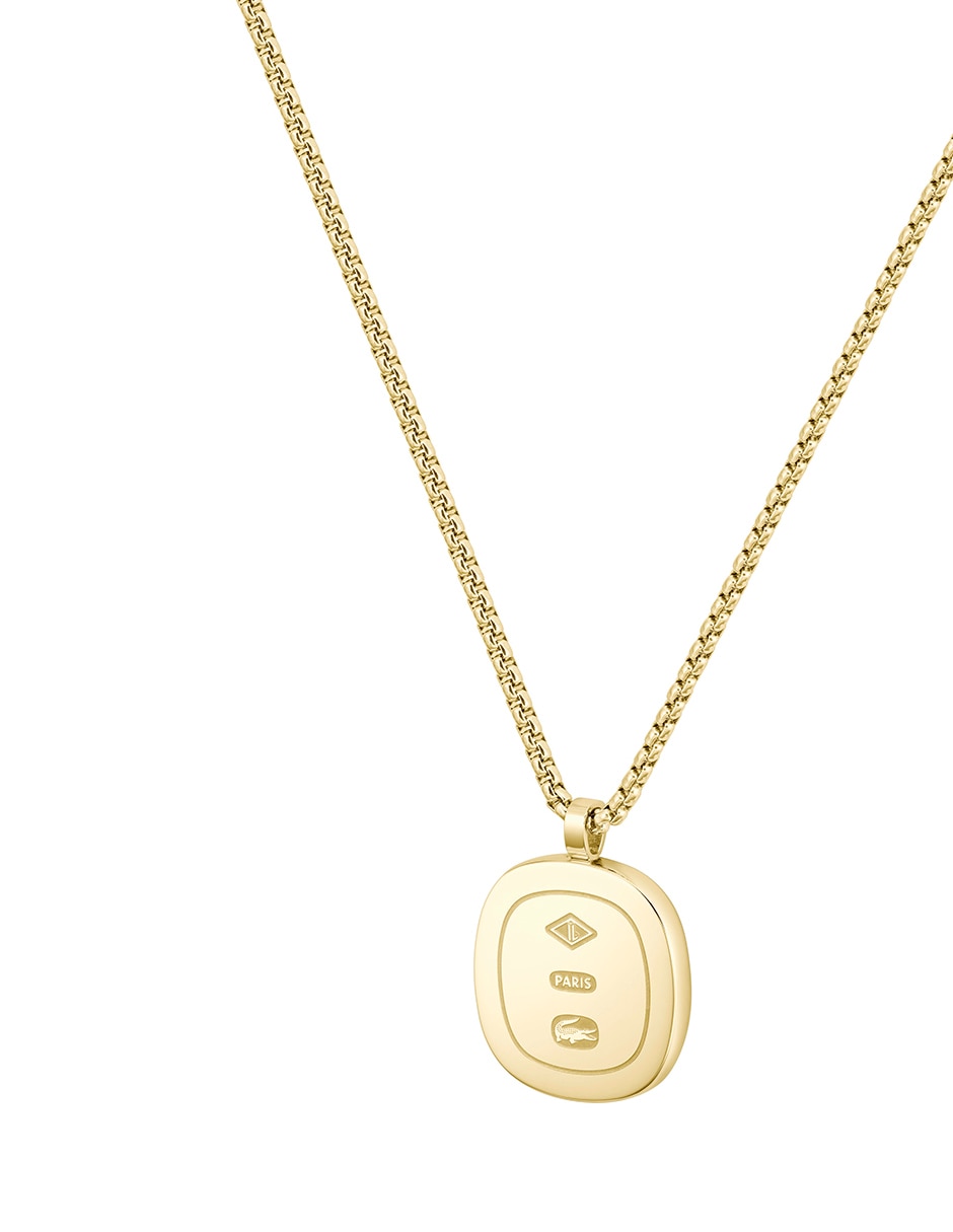 Collar Vigor 2