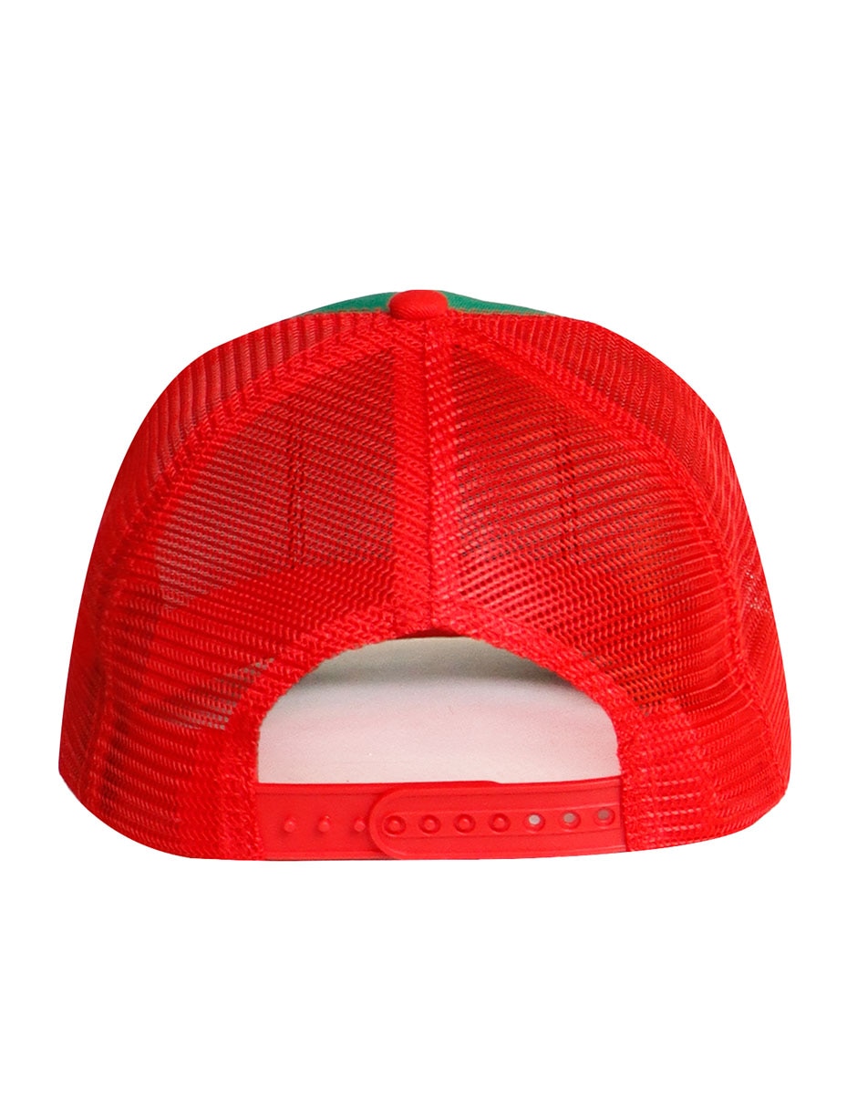 Gorra visera curva snapback casual Iconos Nopal para adulto