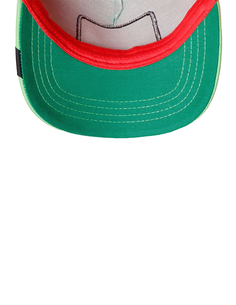 Gorra visera curva snapback casual Iconos Nopal para adulto