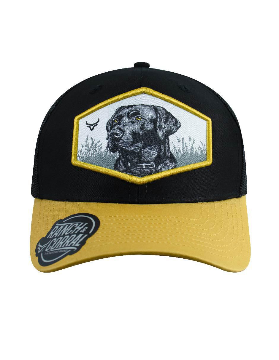 Gorra visera semicurva snapback casual para adulto 5