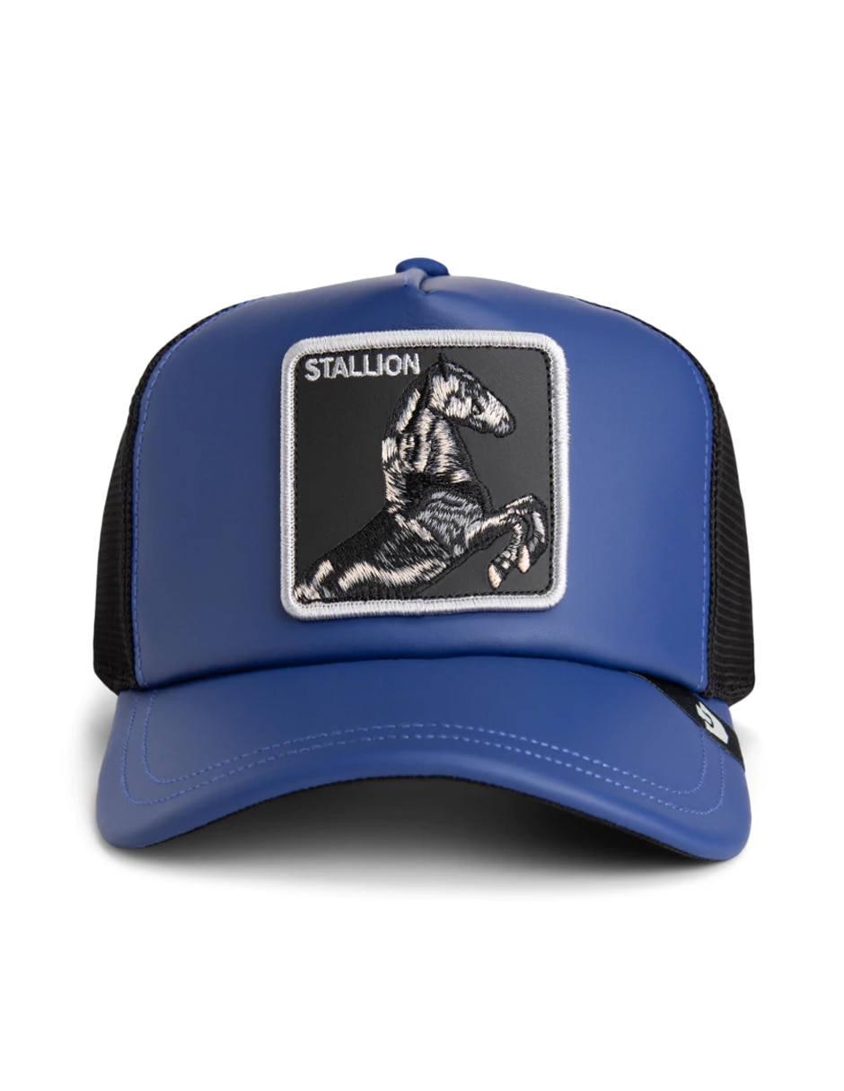 Gorra visera curva snapback casual para adulto 2