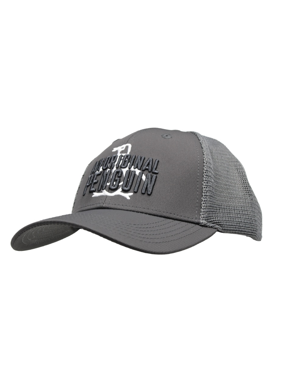 Gorra visera curva snapback casual para hombre