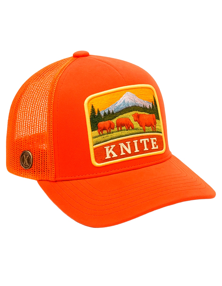 Gorra visera curva snapback casual para hombre