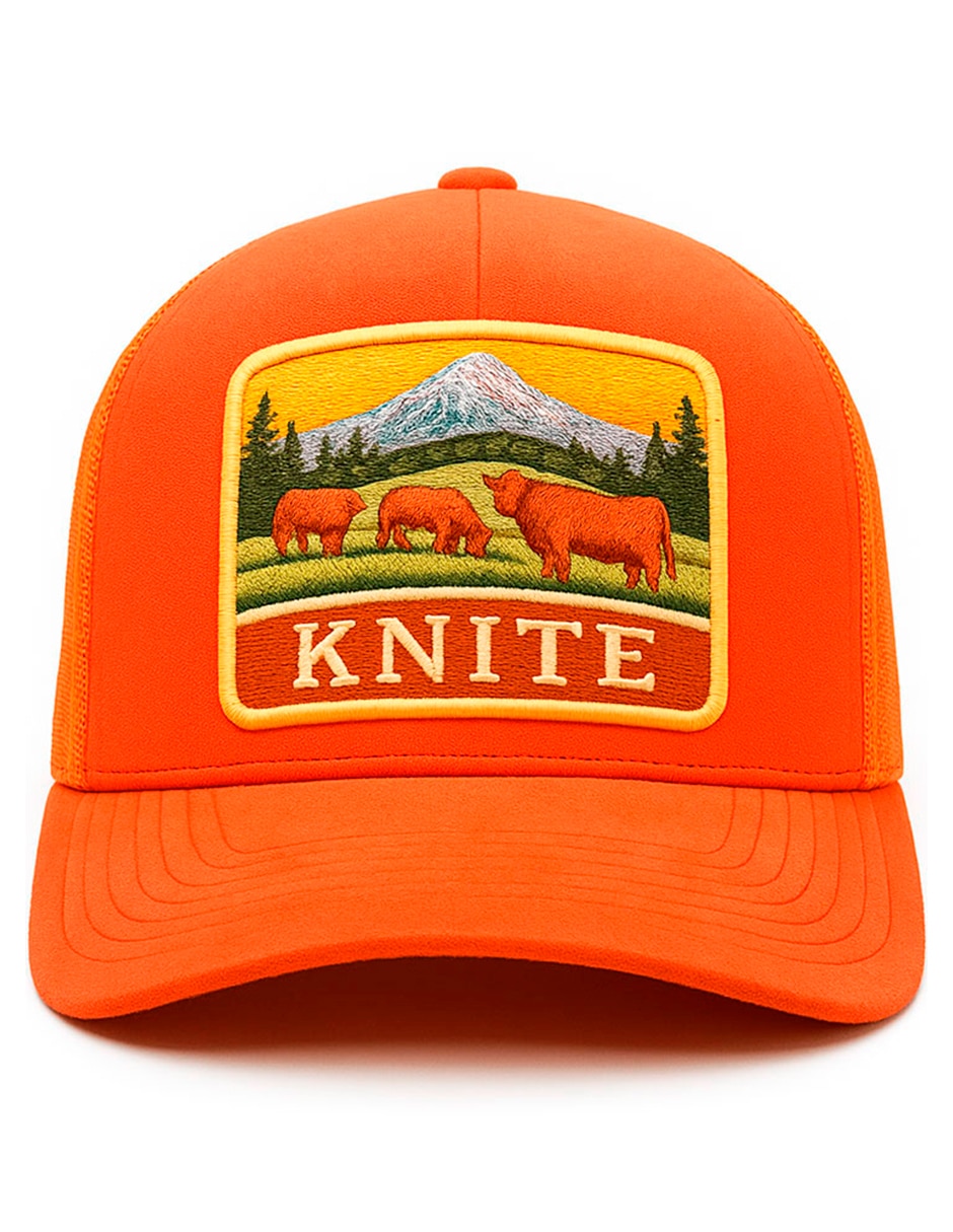 Gorra visera curva snapback casual para hombre