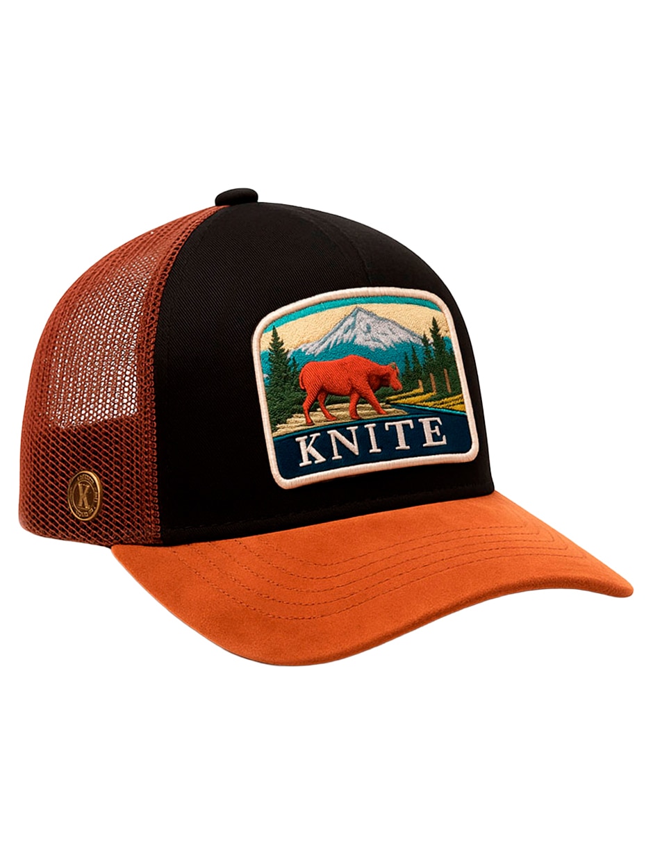 Gorra visera curva snapback casual para hombre