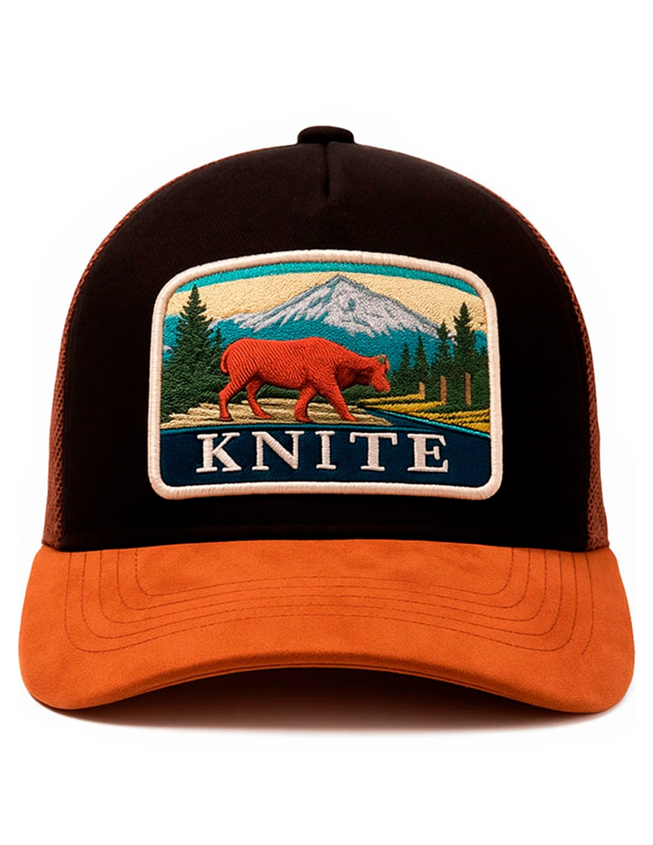 Gorra visera curva snapback casual para hombre 5