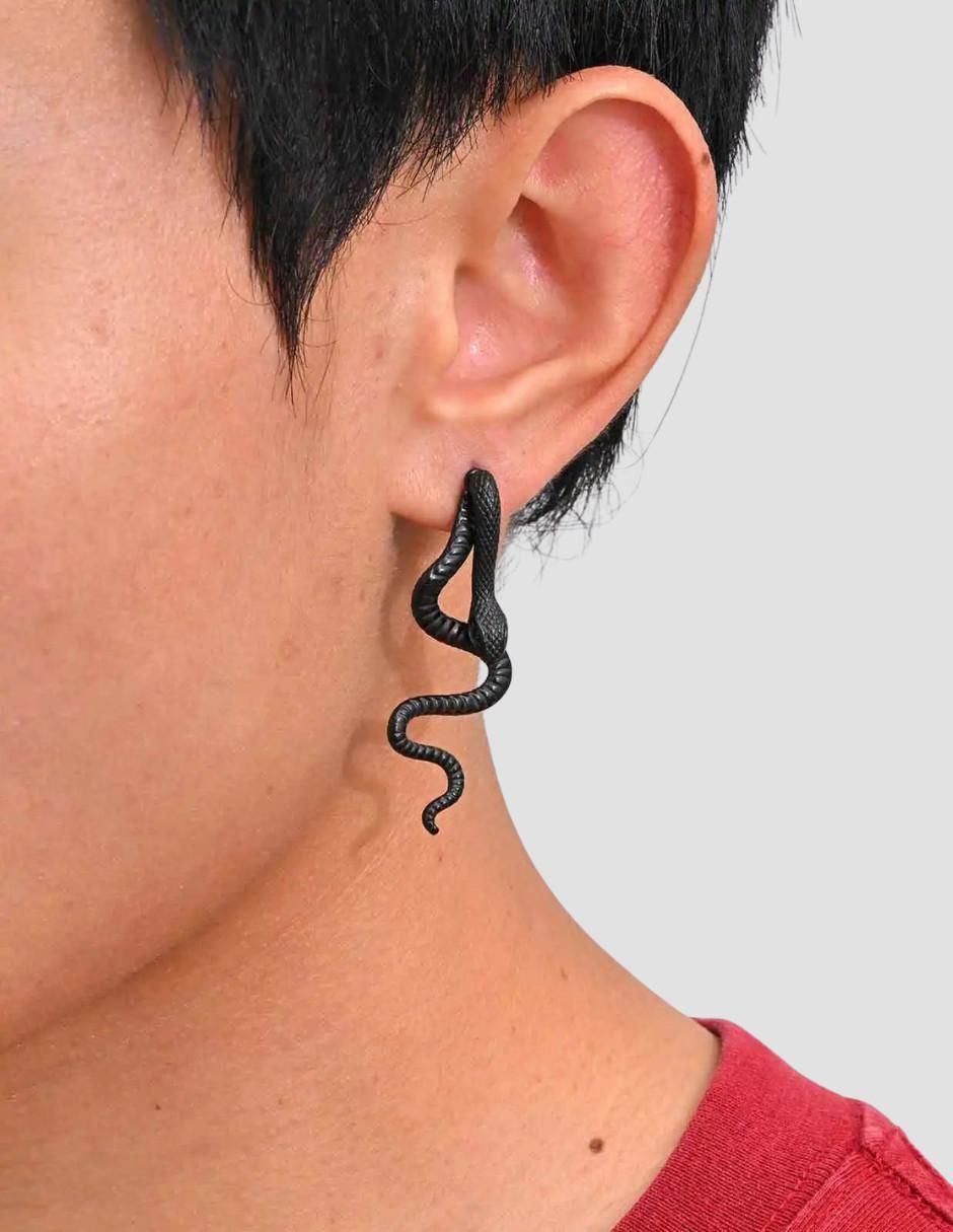 Aretes de serpiente con acabado pulido 2