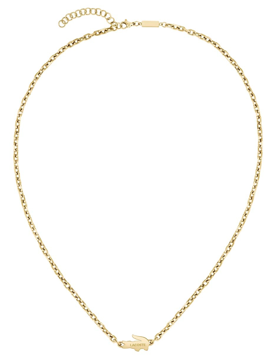 Collar cocodrilo Arthor 2