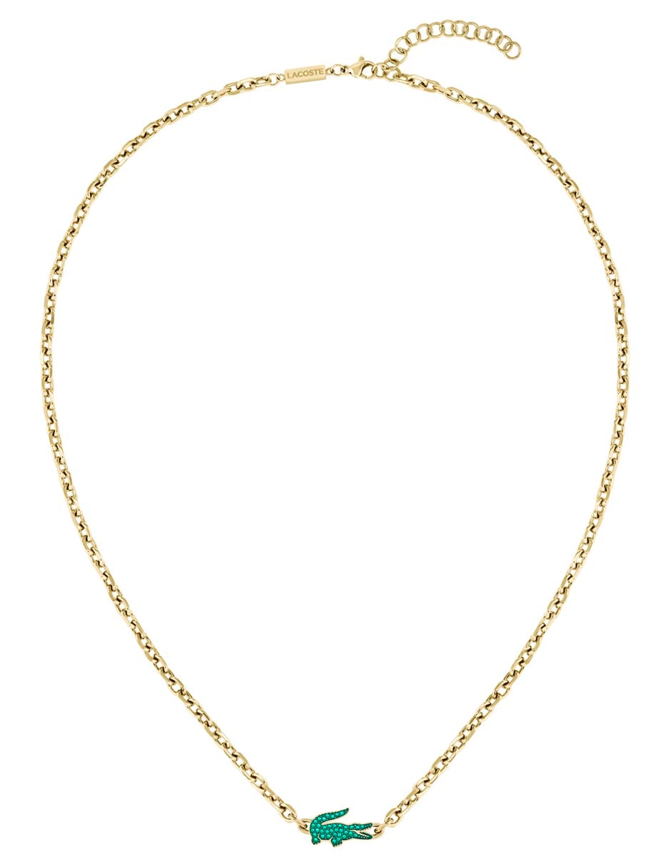 Collar cocodrilo Arthor 3