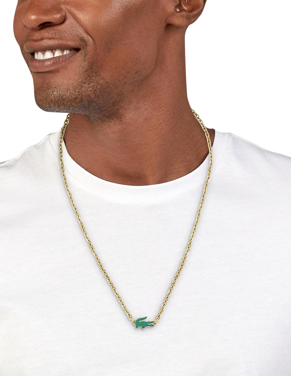 Collar cocodrilo Arthor 4