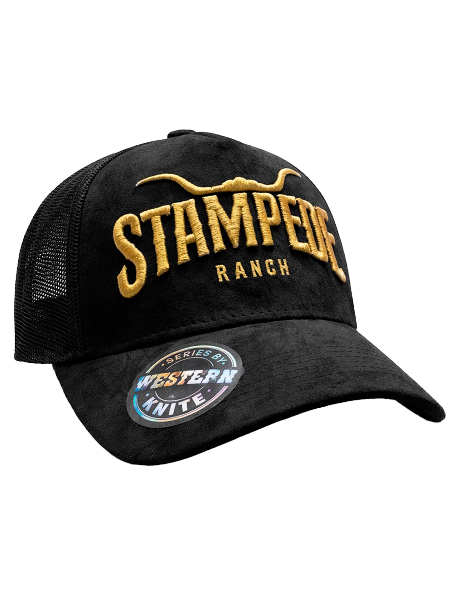 Gorra visera curva snapback casual para hombre