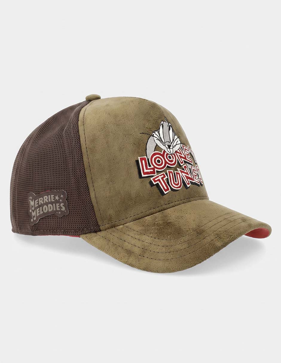 Gorra visera curva correa ajustable casual looney tunes merrie melodies para hombre