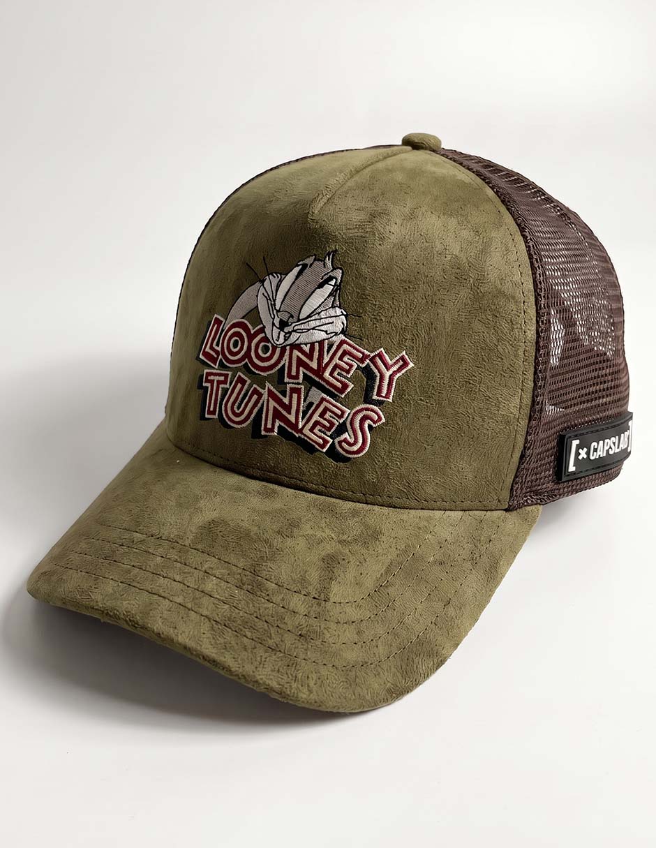 Gorra visera curva correa ajustable casual looney tunes merrie melodies para hombre 2