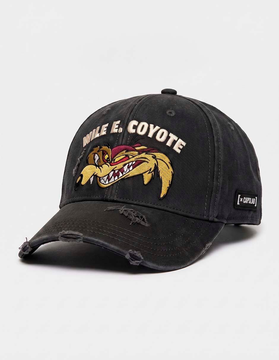 Gorra visera curva correa ajustable casual looney tunes wilie e. Y road runner para hombre 2