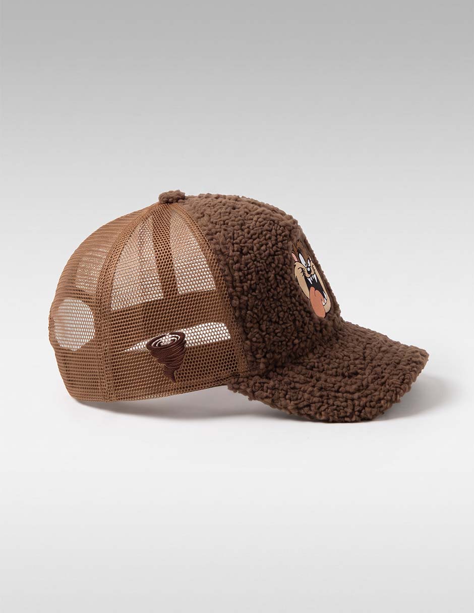 Gorra visera curva snapback casual looney tunes tazmania para hombre