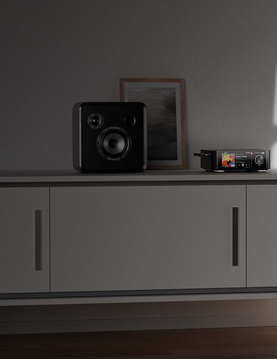 Set de bocinas se100 passive speaker 6